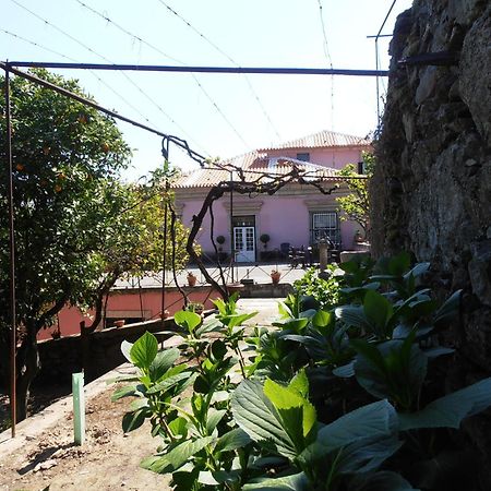 Casa Dos Varais, Manor House ลาเมโก ภายนอก รูปภาพ