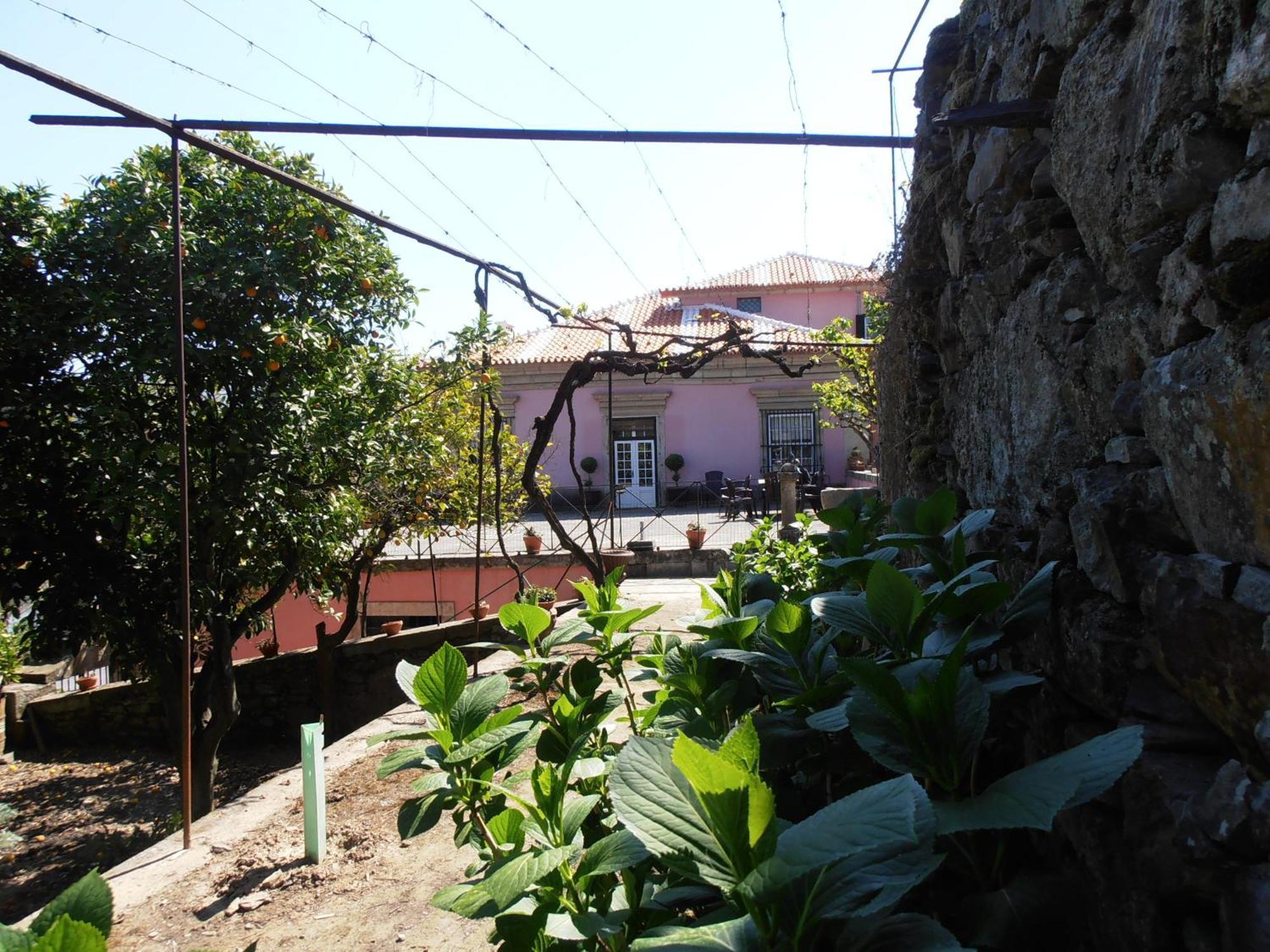 Casa Dos Varais, Manor House ลาเมโก ภายนอก รูปภาพ