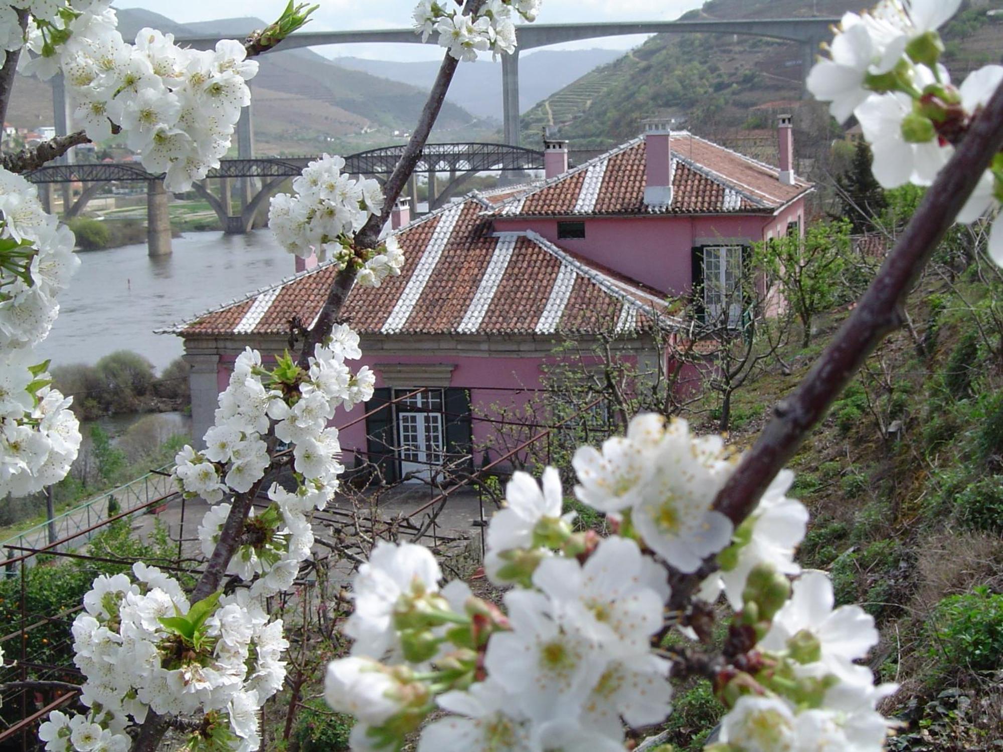 Casa Dos Varais, Manor House ลาเมโก ภายนอก รูปภาพ
