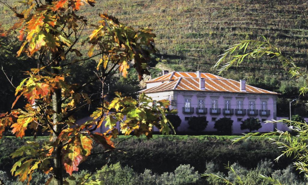 Casa Dos Varais, Manor House ลาเมโก ภายนอก รูปภาพ